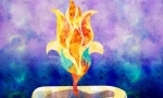115/120871.jpg